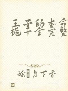 王子的本命是恶栀千金完整版