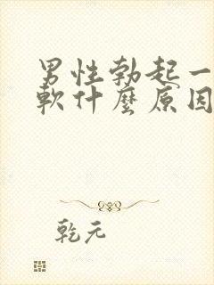 男性勃起一会又软什么原因