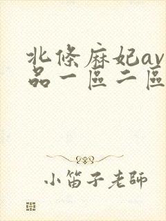 北条麻妃av精品一区二区