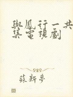 与凤行一共多少集电视剧