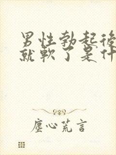 男性勃起后很快就软了是什么原因