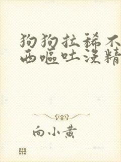 狗狗拉稀不吃东西呕吐没精神怎么办