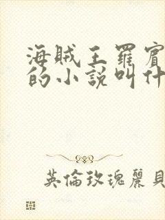 海贼王罗宾堕落的小说叫什么