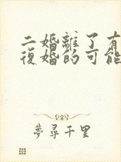 二婚离了有没有复婚的可能的封面