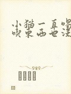 小猫一直喝水不吃东西也没有精神