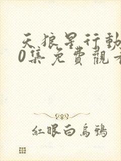 天狼星行动全40集免费观看封面