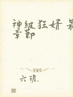 神级狂婿 最新章节