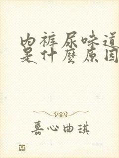 内裤尿味道很重是什么原因女