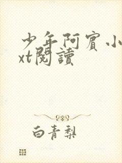 少年阿宾小说txt阅读