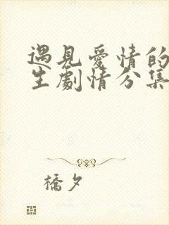 遇见爱情的利先生剧情分集介绍