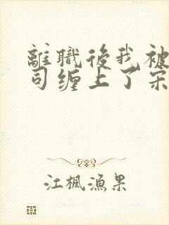 离职后我被前上司缠上了宋襄