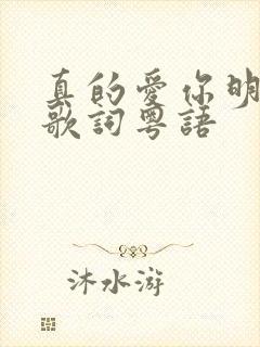 真的爱你明慧版歌词粤语