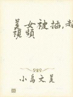 美女被插,超爽视频