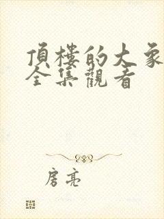 顶楼的大象在线全集观看封面