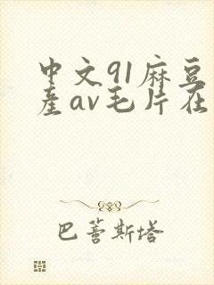 中文91麻豆国产av毛片在线