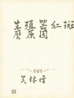 生殖器红斑是什么原因