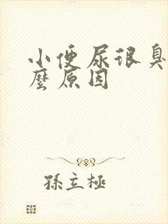 小便尿很臭是什么原因