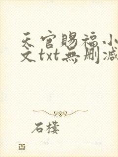 天官赐福小说全文txt无删减下载封面