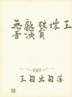 无敌破坏王2配音演员封面