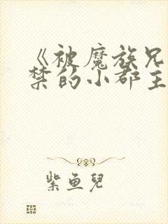 《被魔族兄弟囚禁的小郡主》 by珑公子封面