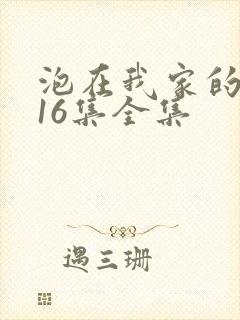 泡在我家的辣妹16集全集
