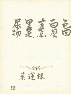 尿里有白色沉淀物是怎么回事封面