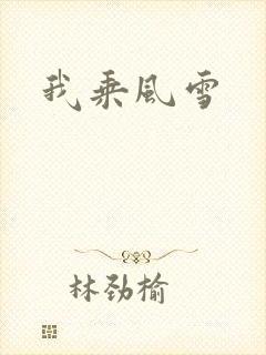 我乘风雪