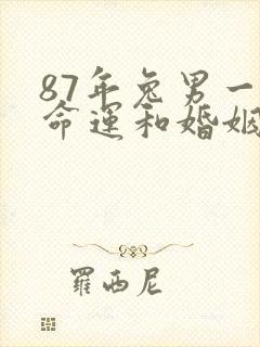 87年兔男一生命运和婚姻