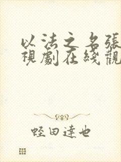 以法之名张译电视剧在线观看17集