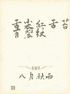 舌尖红舌苔黄腻有裂纹