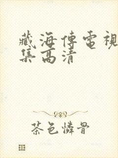 藏海传电视剧全集高清