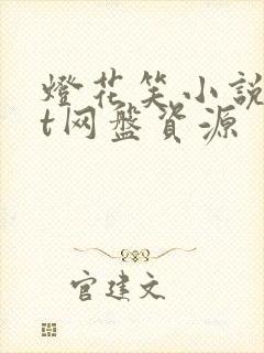 灯花笑小说txt网盘资源