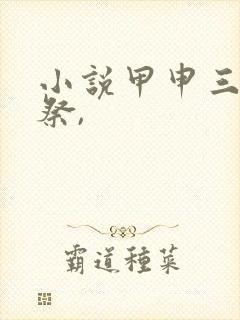 小说甲申三百年祭,封面