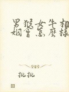 男猴女牛相配婚姻会怎么样