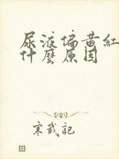 尿液偏黄红色是什么原因