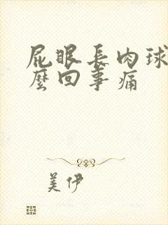 屁眼长肉球是怎么回事痛