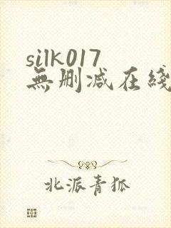 silk017无删减在线播放