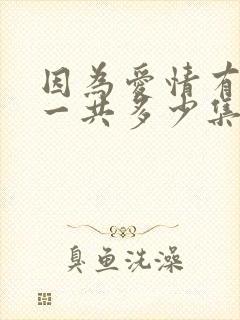 因为爱情有多美一共多少集?