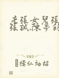 老张女儿张璐,张诚,陈梦的小说封面