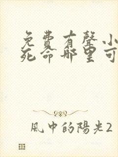 免费有声小说算死命哪里可以免费