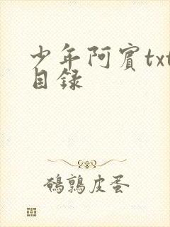 少年阿宾txt目录