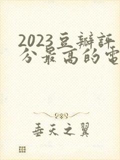 2023豆瓣评分最高的电视剧