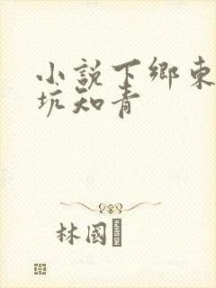 小说下乡东北大坑知青