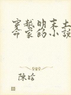 穿越明末土匪革命家的小说