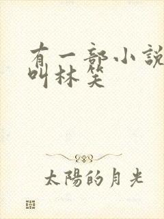 有一部小说主角叫林笑封面