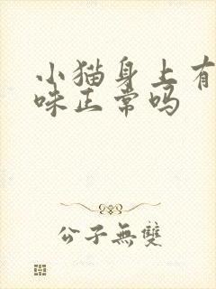 小猫身上有尿骚味正常吗封面