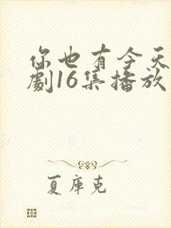 你也有今天电视剧16集播放免费观看