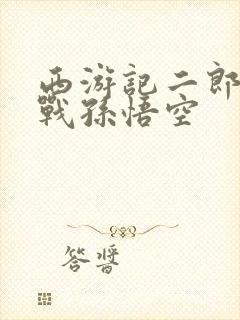 西游记二郎神大战孙悟空封面