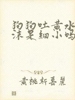 狗狗吐黄水带泡沫是细小吗