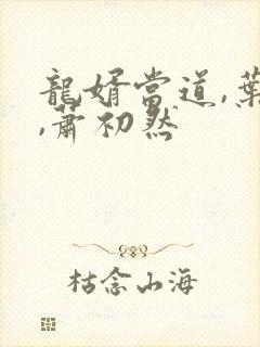 龙婿当道,叶辰,萧初然